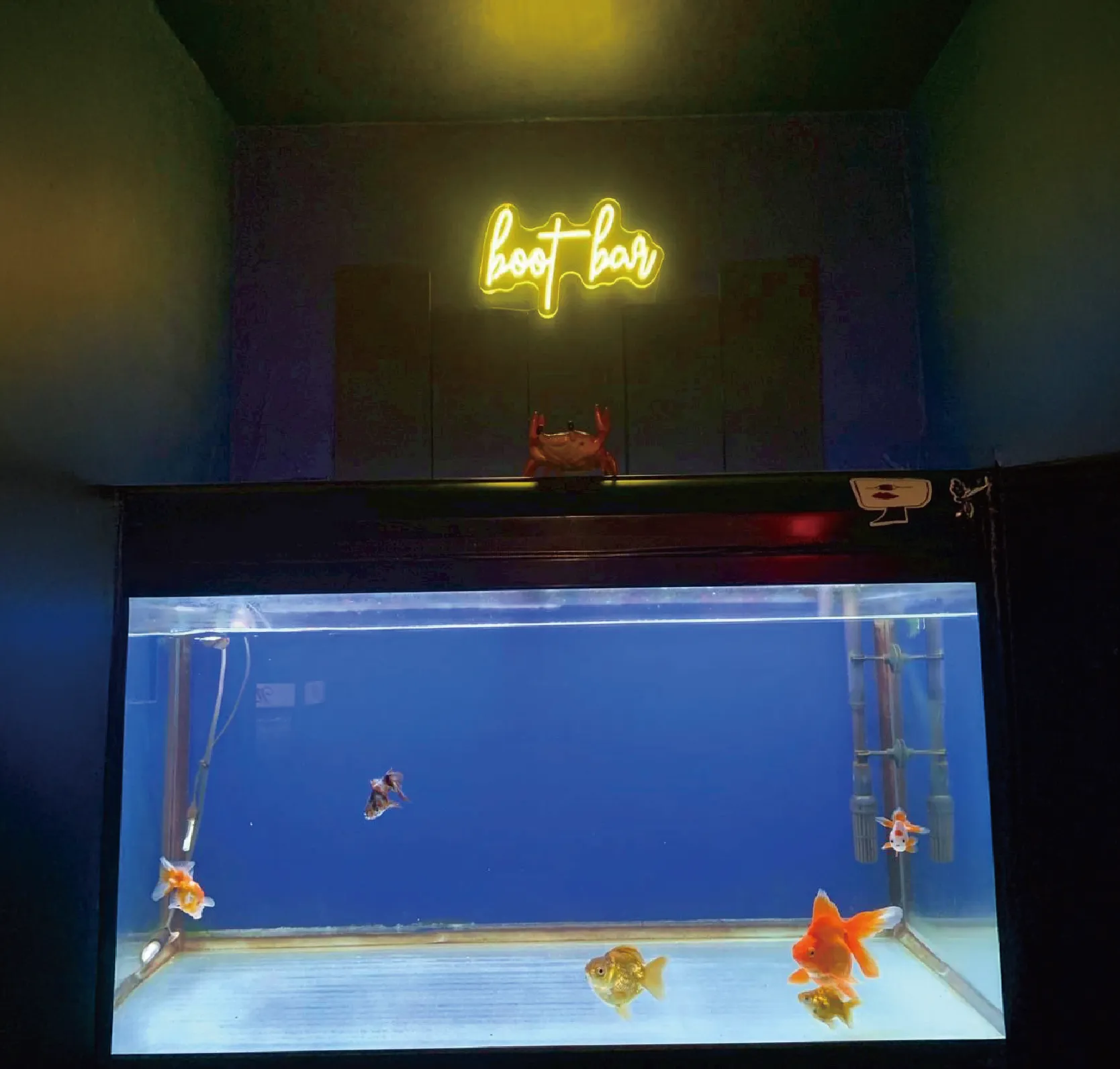 BOOT BAR